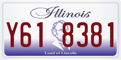 IL license plate Y618381