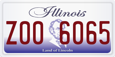IL license plate Z006065