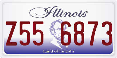 IL license plate Z556873