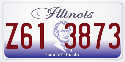 IL license plate Z613873