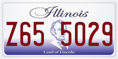 IL license plate Z655029