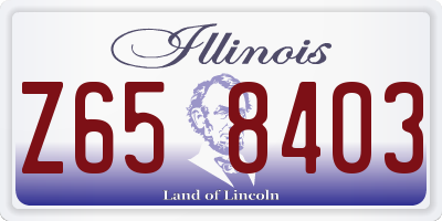 IL license plate Z658403