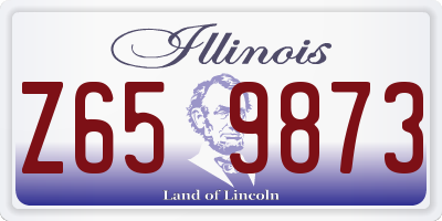 IL license plate Z659873