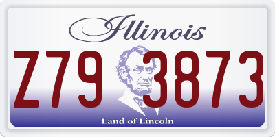 IL license plate Z793873
