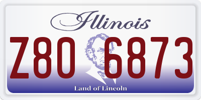 IL license plate Z806873