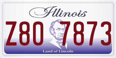 IL license plate Z807873