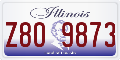 IL license plate Z809873
