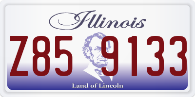 IL license plate Z859133