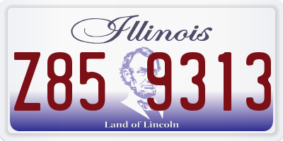IL license plate Z859313