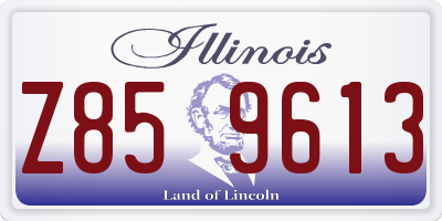 IL license plate Z859613