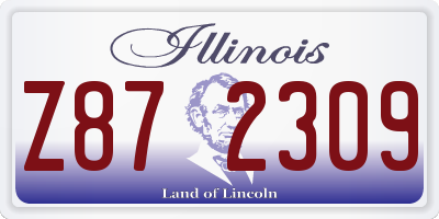 IL license plate Z872309