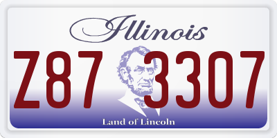 IL license plate Z873307