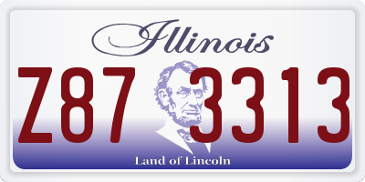 IL license plate Z873313