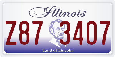 IL license plate Z873407