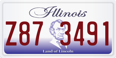 IL license plate Z873491