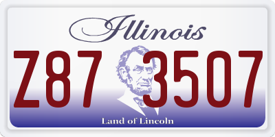 IL license plate Z873507