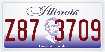 IL license plate Z873709