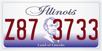 IL license plate Z873733