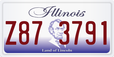 IL license plate Z873791