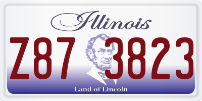 IL license plate Z873823