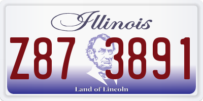 IL license plate Z873891