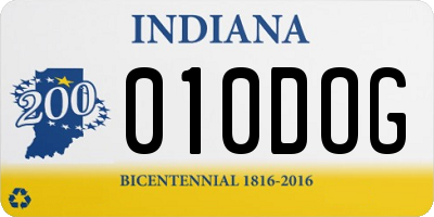 IN license plate 010DOG