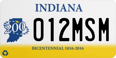 IN license plate 012MSM