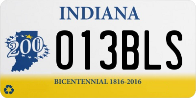 IN license plate 013BLS