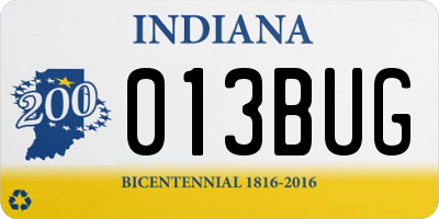 IN license plate 013BUG