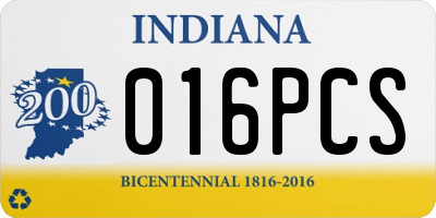 IN license plate 016PCS