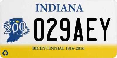 IN license plate 029AEY