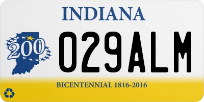 IN license plate 029ALM