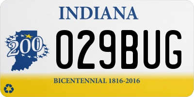 IN license plate 029BUG