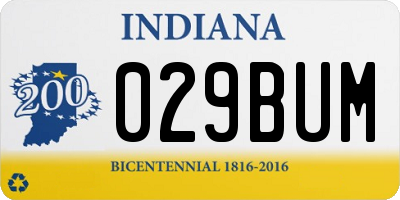IN license plate 029BUM