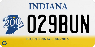 IN license plate 029BUN
