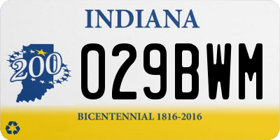 IN license plate 029BWM