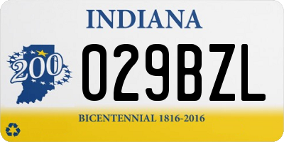 IN license plate 029BZL