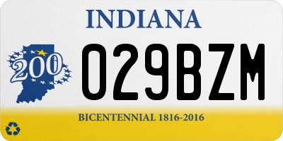 IN license plate 029BZM
