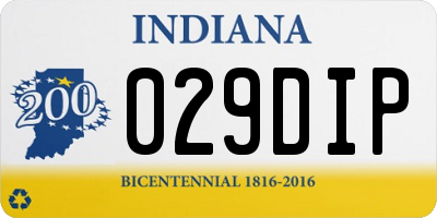 IN license plate 029DIP
