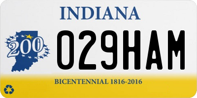 IN license plate 029HAM