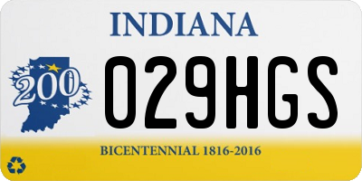 IN license plate 029HGS