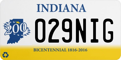 IN license plate 029NIG