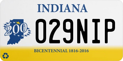 IN license plate 029NIP