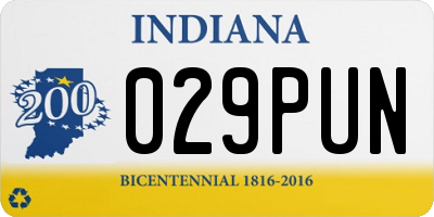 IN license plate 029PUN