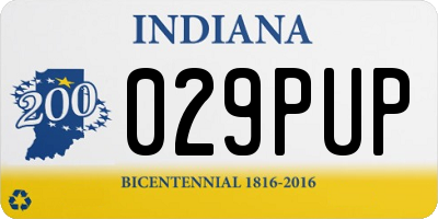 IN license plate 029PUP