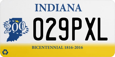 IN license plate 029PXL
