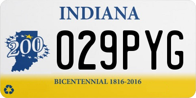 IN license plate 029PYG