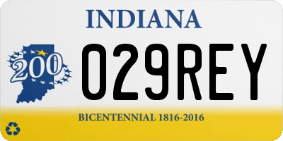 IN license plate 029REY