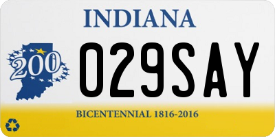 IN license plate 029SAY