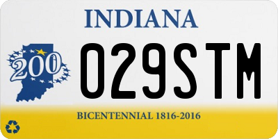 IN license plate 029STM